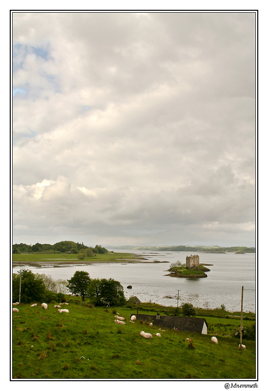 IMG_45392-border800