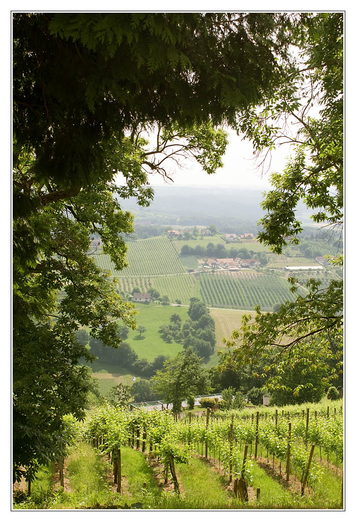Riegesburg03