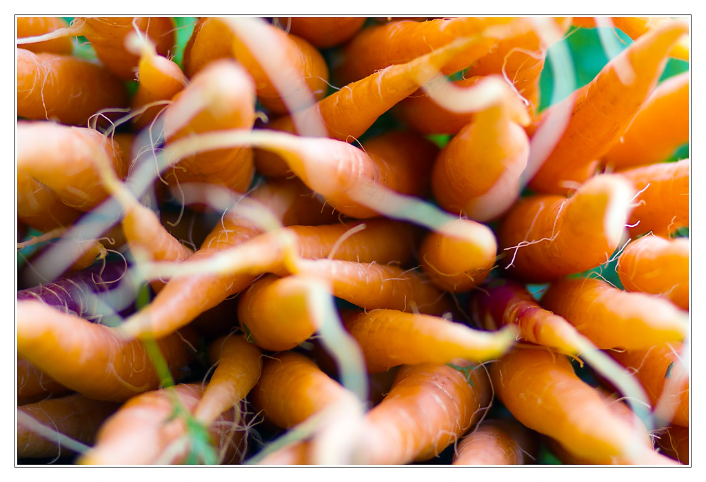 carottes