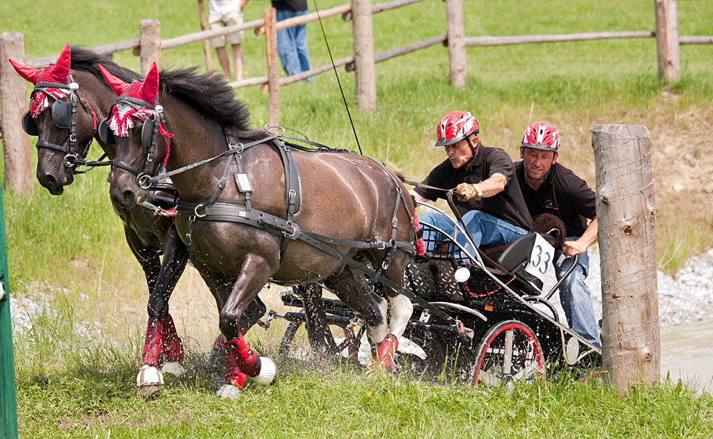 chevaux02