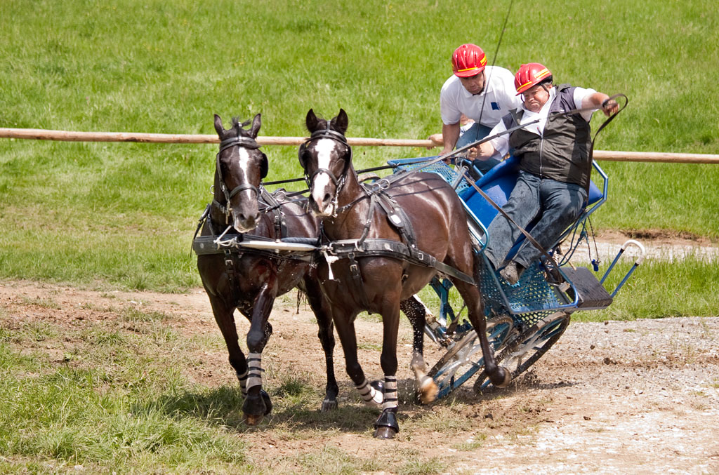 chevaux03
