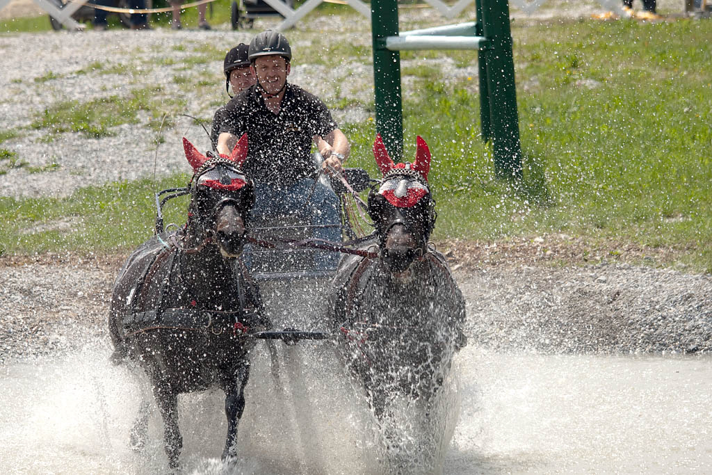 chevaux06