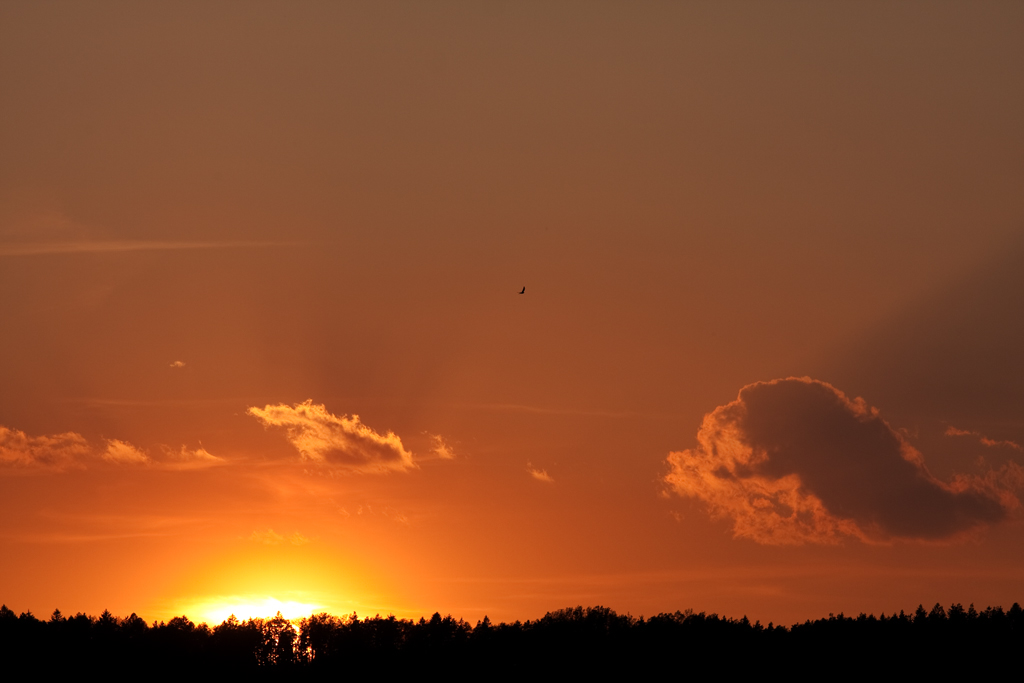 couche_soleil03