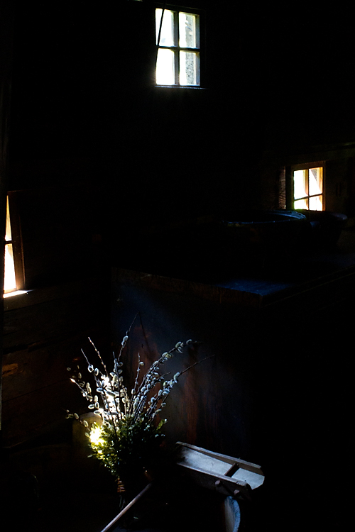 fleurs07
