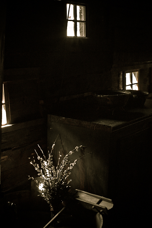 fleurs09