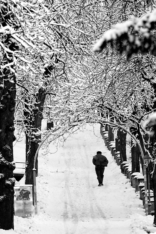 hivers
