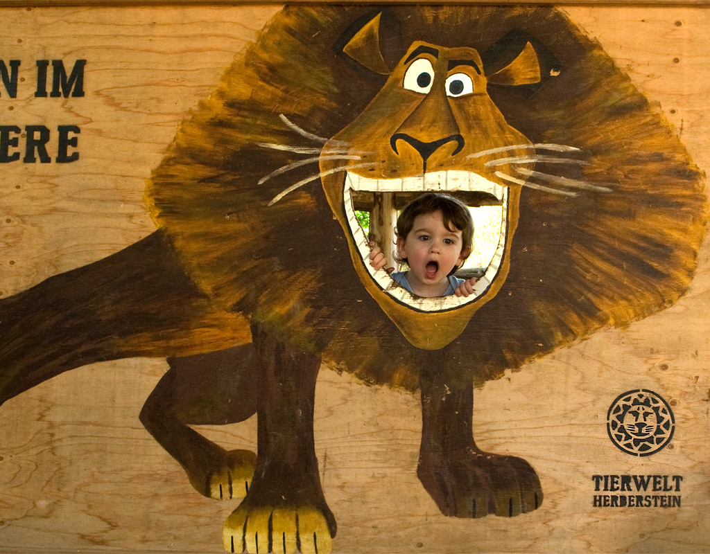 lion_tete02