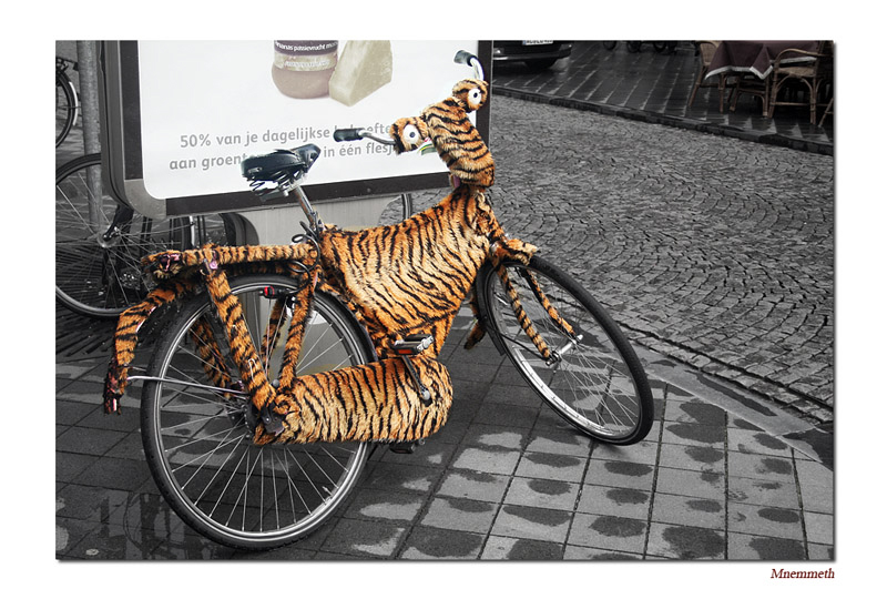 tiger_bike