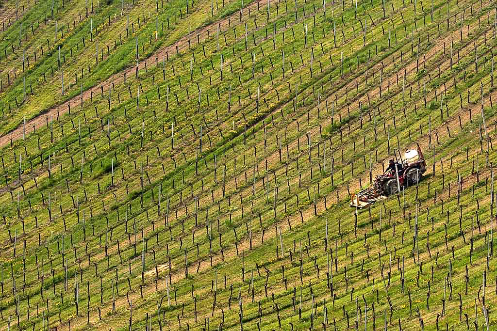 tracteur06