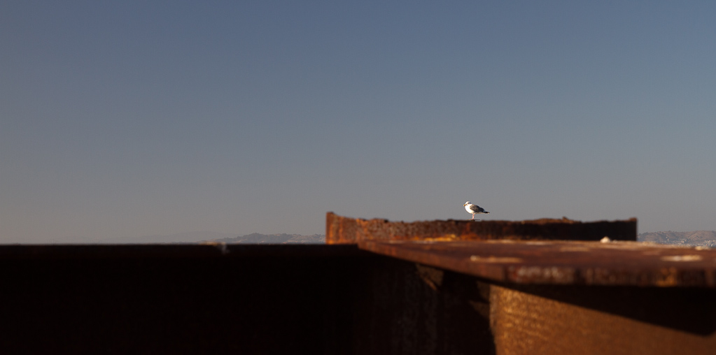 San Francisco - IMG_0161 