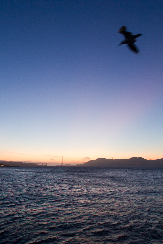San Francisco - IMG_0235 