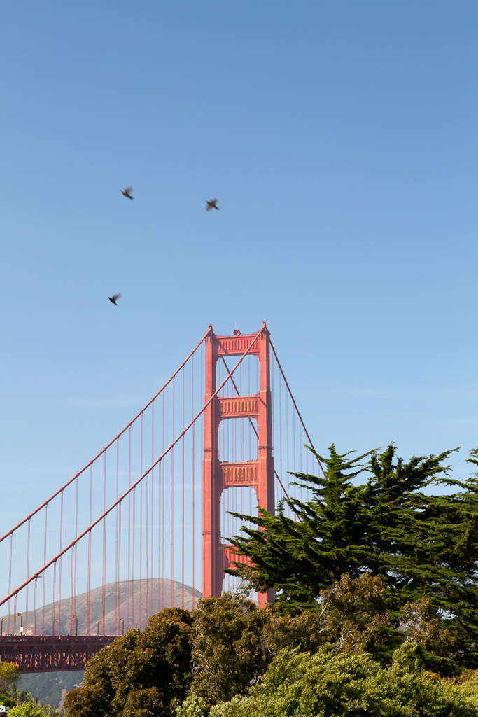 San Francisco - IMG_0839 
