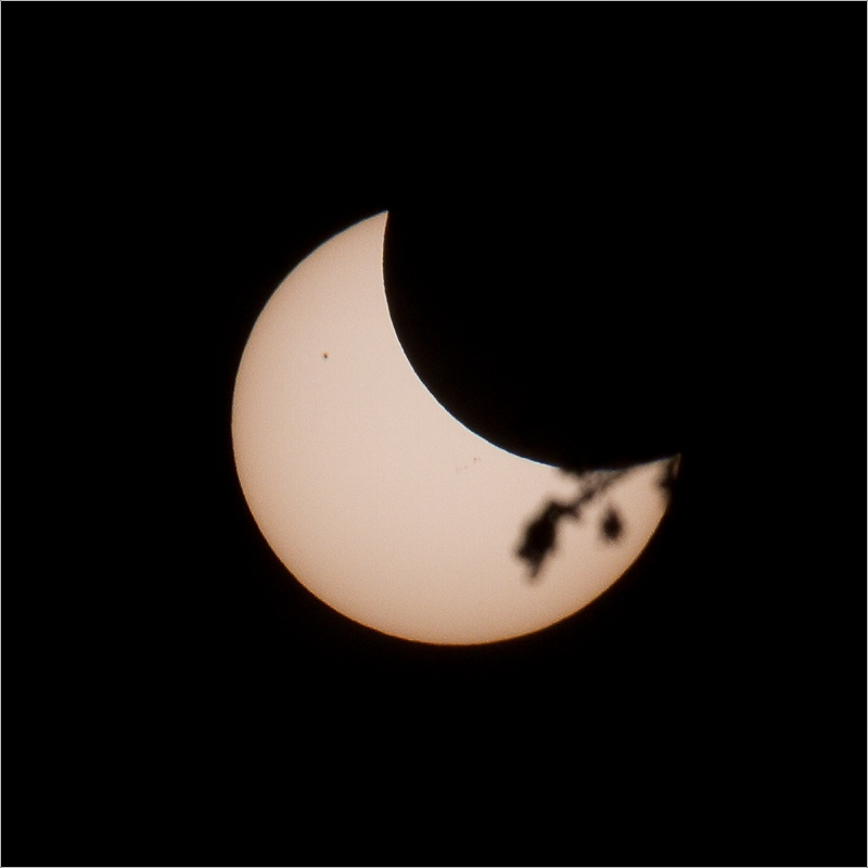 http://fredetsev.eu/galeriesLR/eclipse/content/images/large/eclipse_soleil06.jpg