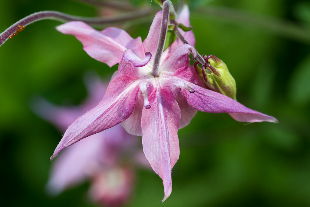 Botanischer Garten