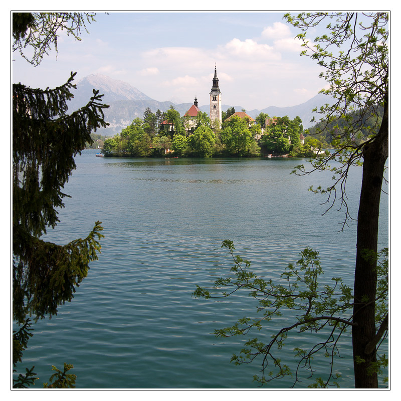 San Francisco - bled04 