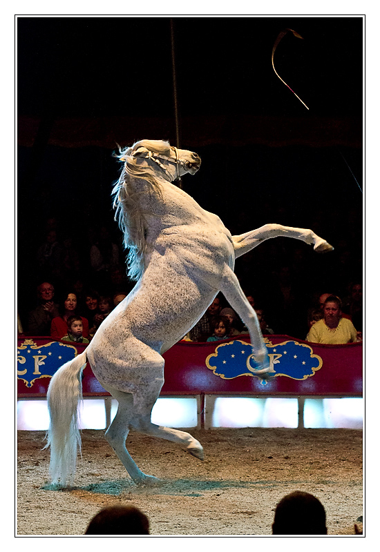 San Francisco - cirque12 