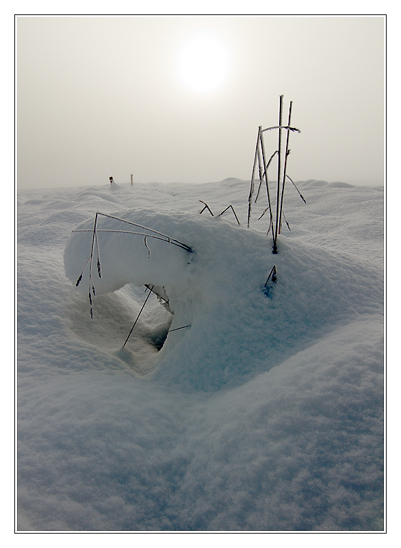San Francisco - snow02 