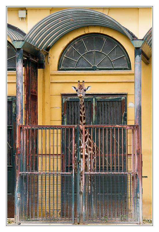 San Francisco - sophie02 