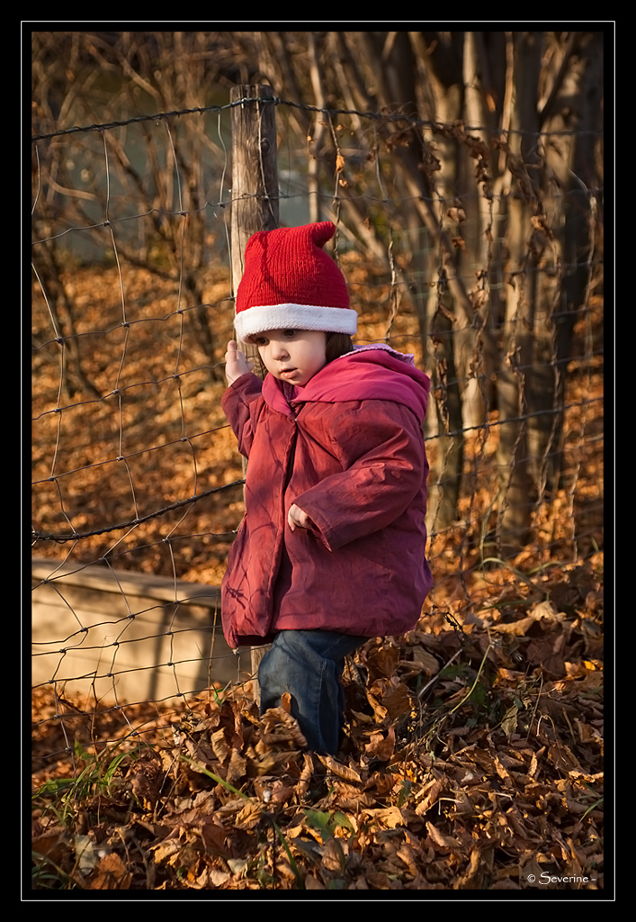 http://fredetsev.eu/imagespourblog/Elizabeth_cheminecole_01.jpg