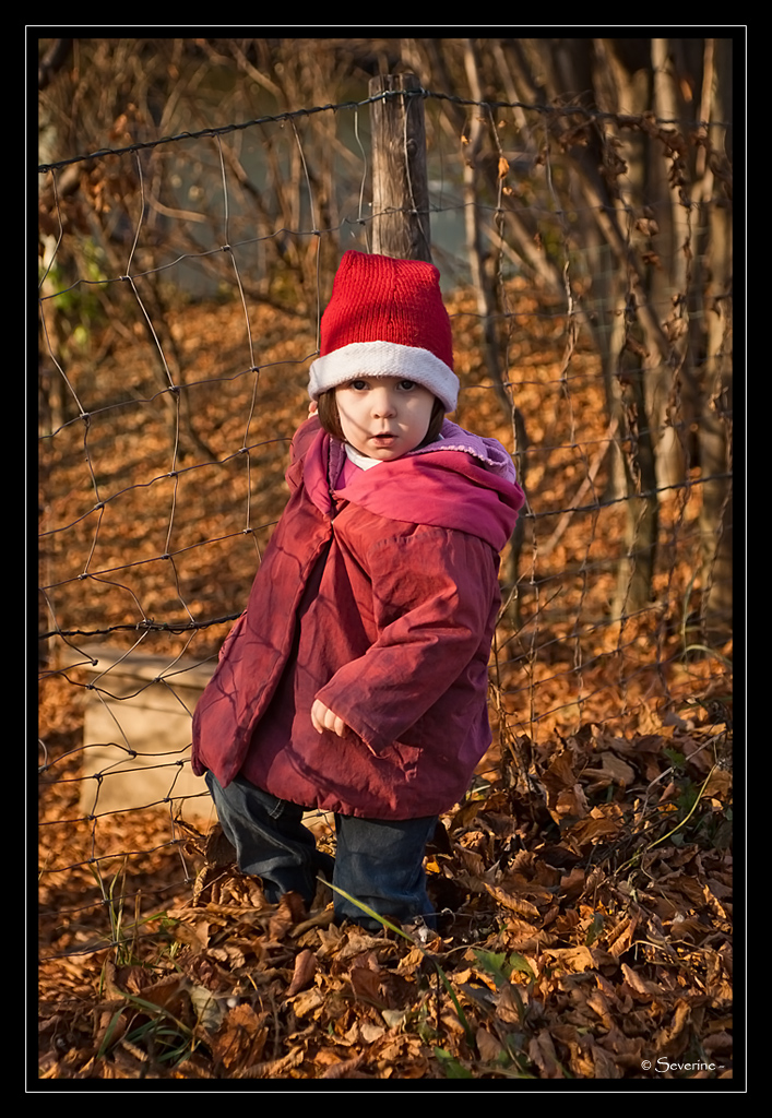 http://fredetsev.eu/imagespourblog/Elizabeth_cheminecole_02.jpg