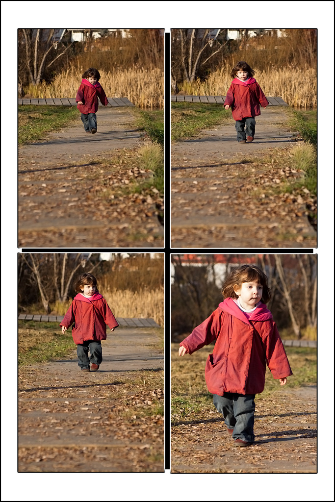http://fredetsev.eu/imagespourblog/Elizabeth_cherchegrenouilles.jpg