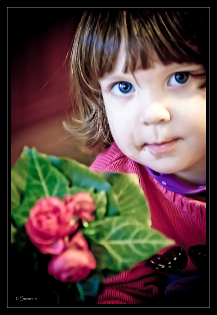 http://fredetsev.eu/imagespourblog/Elizabeth_fleurs_draganmodifie.jpg