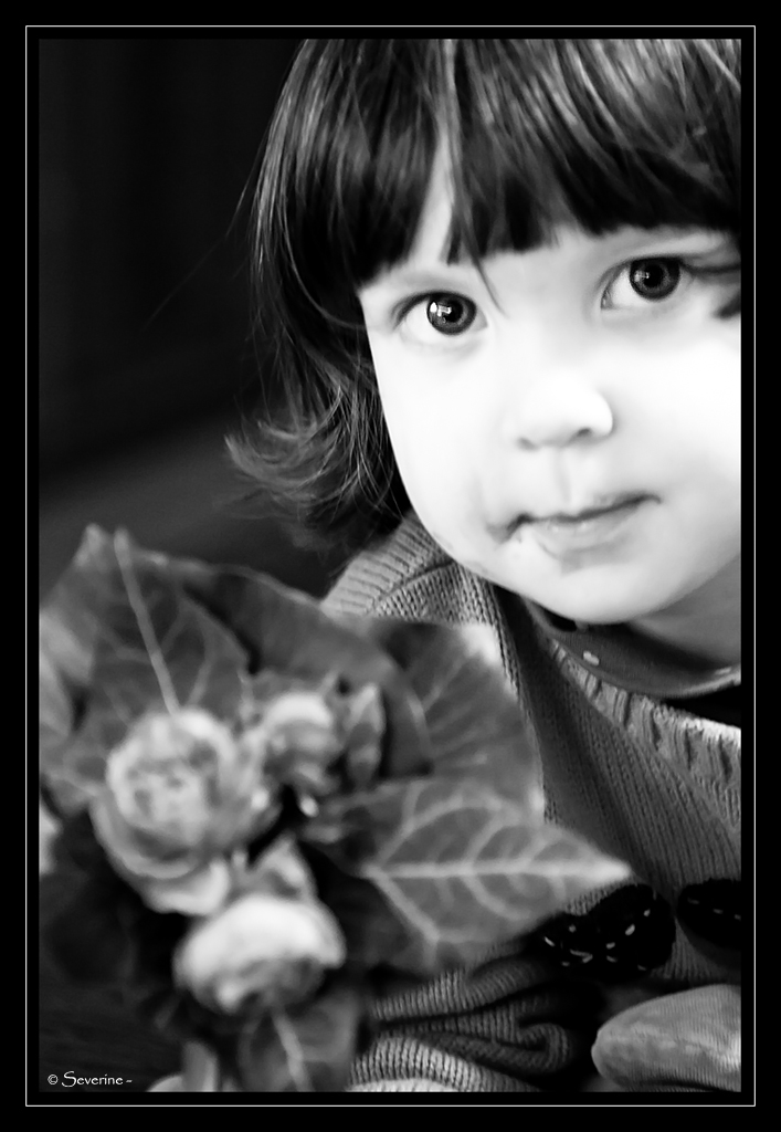 http://fredetsev.eu/imagespourblog/Elizabeth_fleurs_nb.jpg