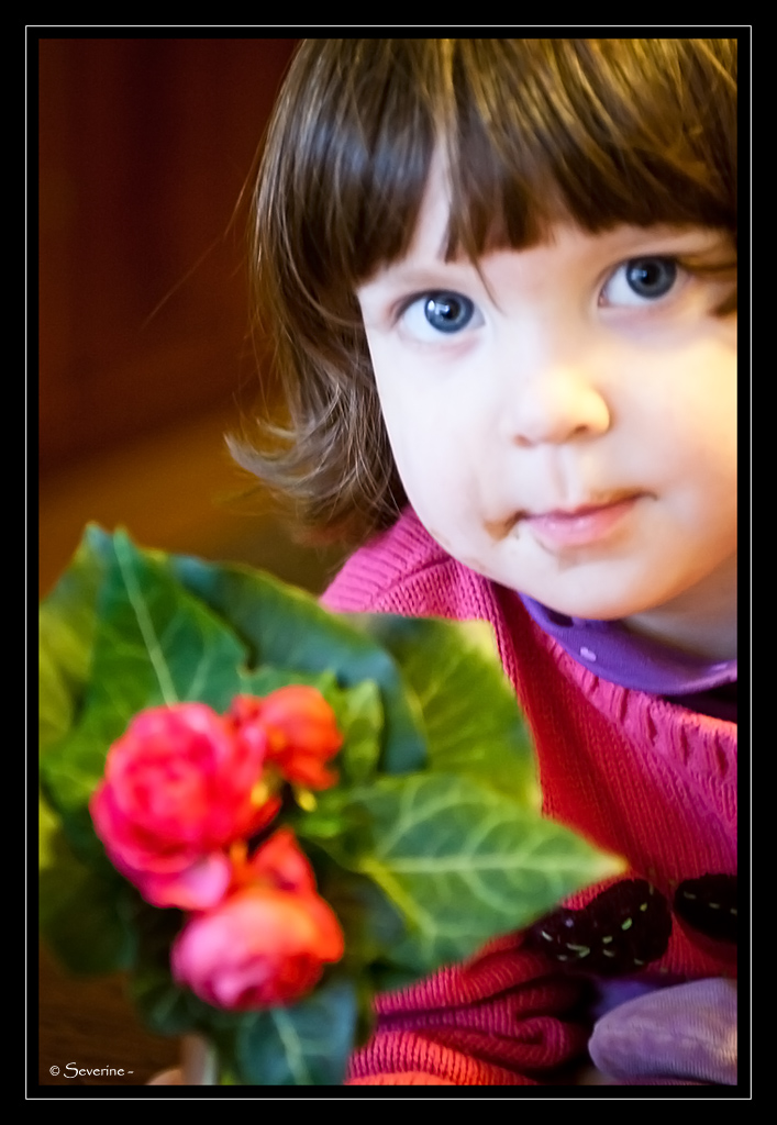 http://fredetsev.eu/imagespourblog/Elizabeth_fleurs_originale.jpg