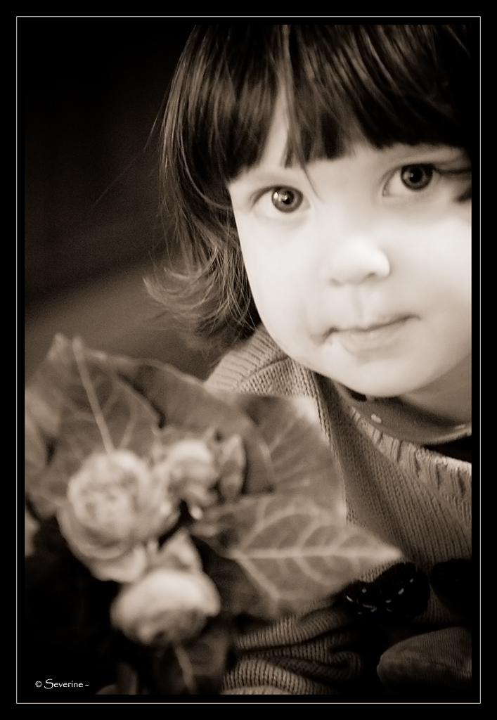 http://fredetsev.eu/imagespourblog/Elizabeth_fleurs_sepia.jpg