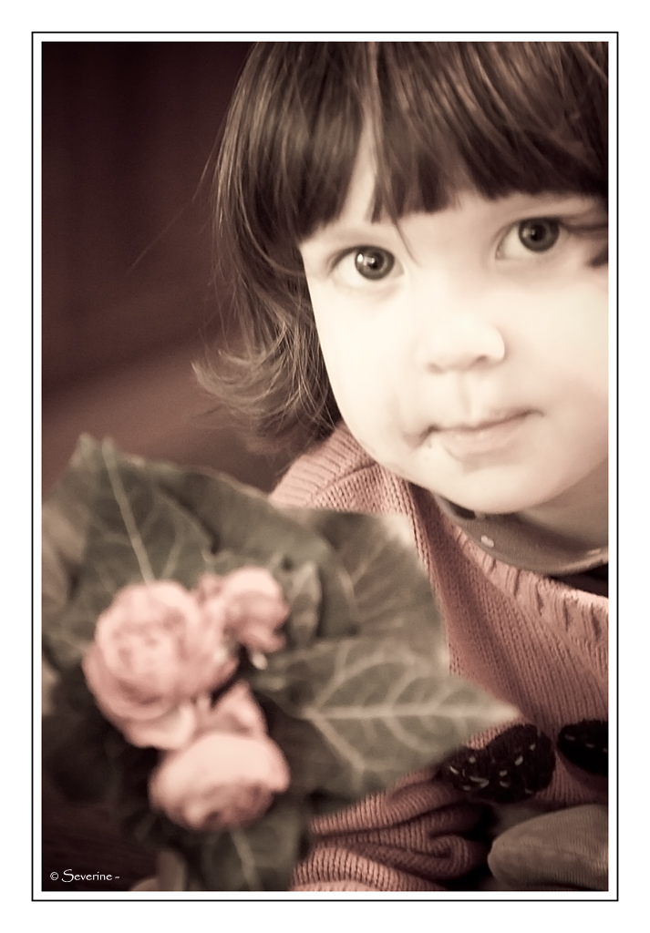 http://fredetsev.eu/imagespourblog/Elizabeth_fleurs_vieillie.jpg