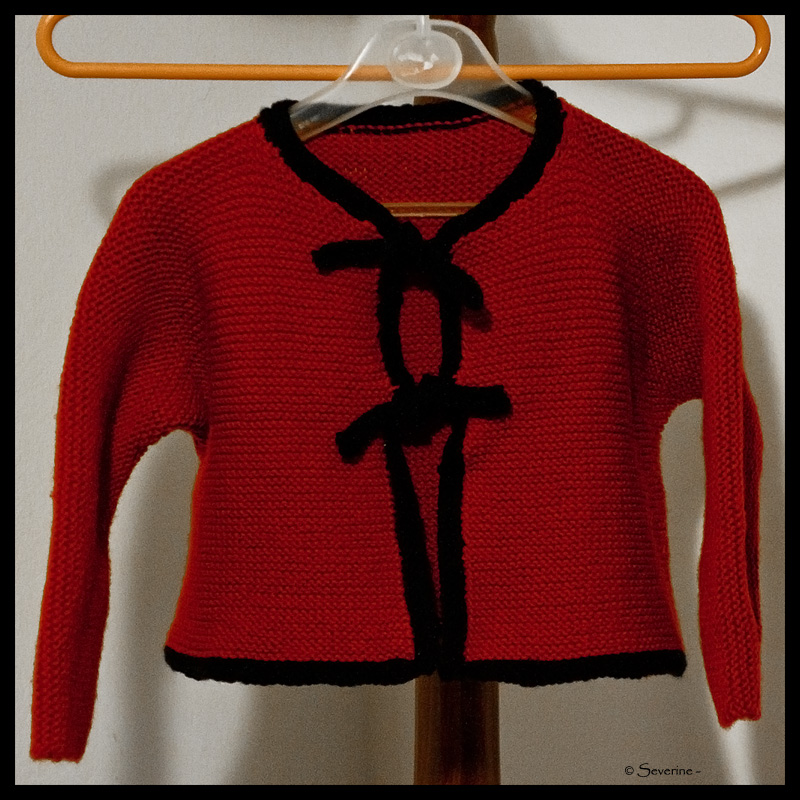 http://fredetsev.eu/imagespourblog/cardigan_elizabeth_01.jpg