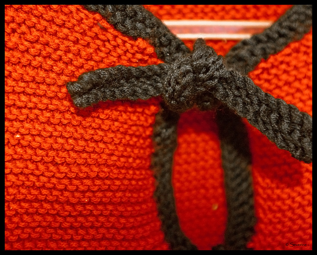 http://fredetsev.eu/imagespourblog/cardigan_elizabeth_detail.jpg
