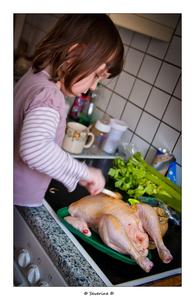 http://fredetsev.eu/imagespourblog/elizabeth_cuisinepoulet.jpg
