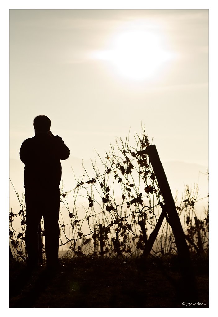 http://fredetsev.eu/imagespourblog/fred_photo_weinstrasse_02.jpg