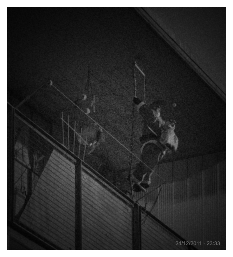 http://fredetsev.eu/imagespourblog/papanoel_fausse_videosurveillance.jpg