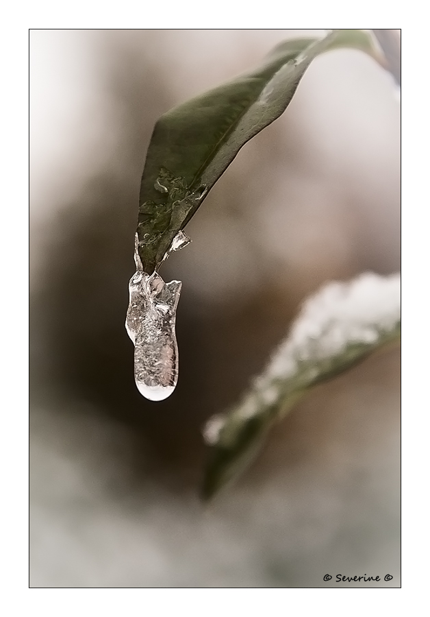 http://fredetsev.eu/imagespourblog/premiereneige_hiver2012_glacon.jpg