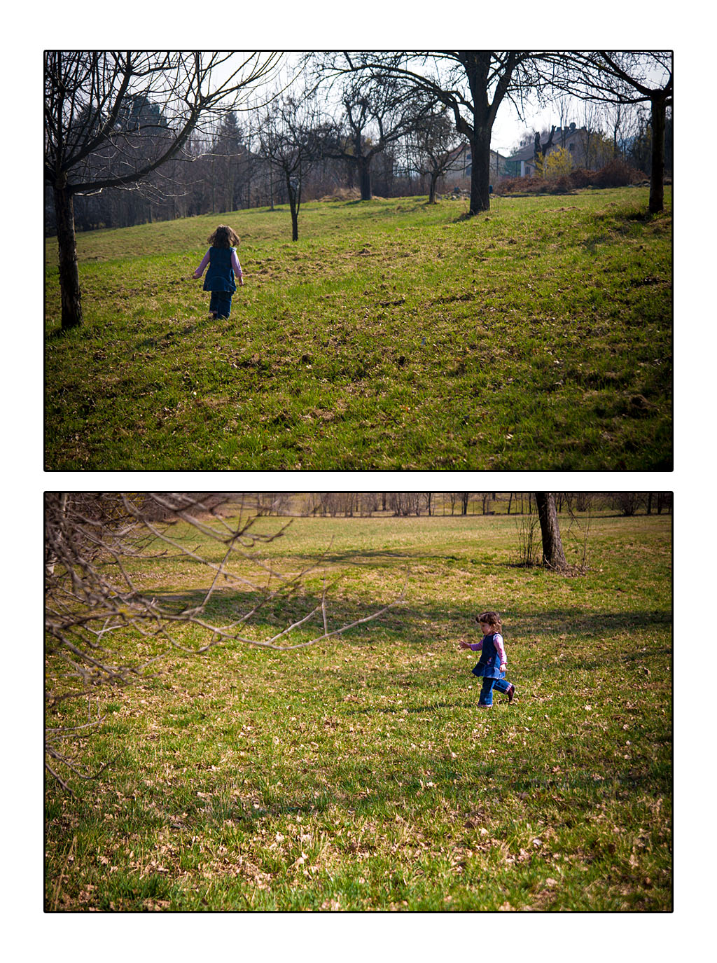 http://fredetsev.eu/imagespourblog/promenade_grenouille_05.jpg