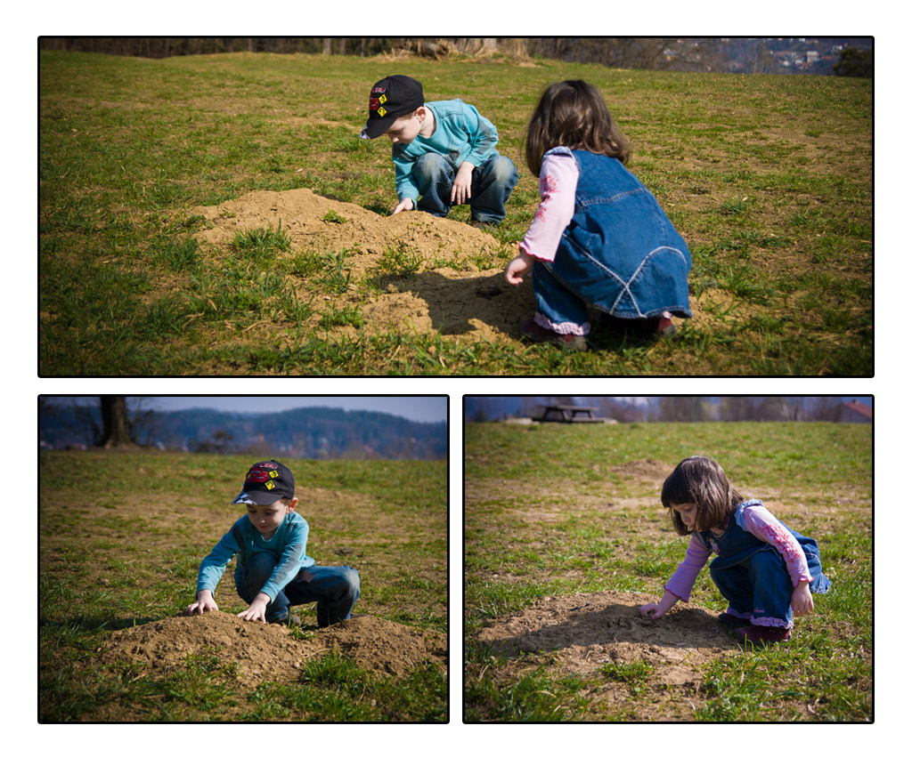 http://fredetsev.eu/imagespourblog/promenade_grenouille_07.jpg