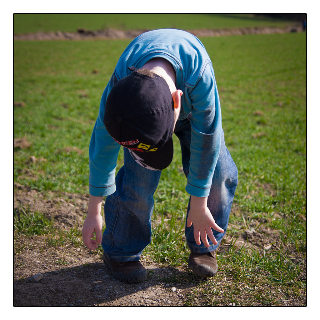 http://fredetsev.eu/imagespourblog/promenade_grenouille_12.jpg