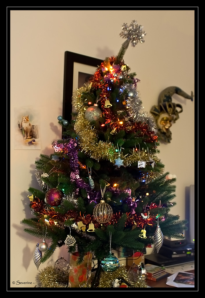 http://fredetsev.eu/imagespourblog/sapin_2011.jpg