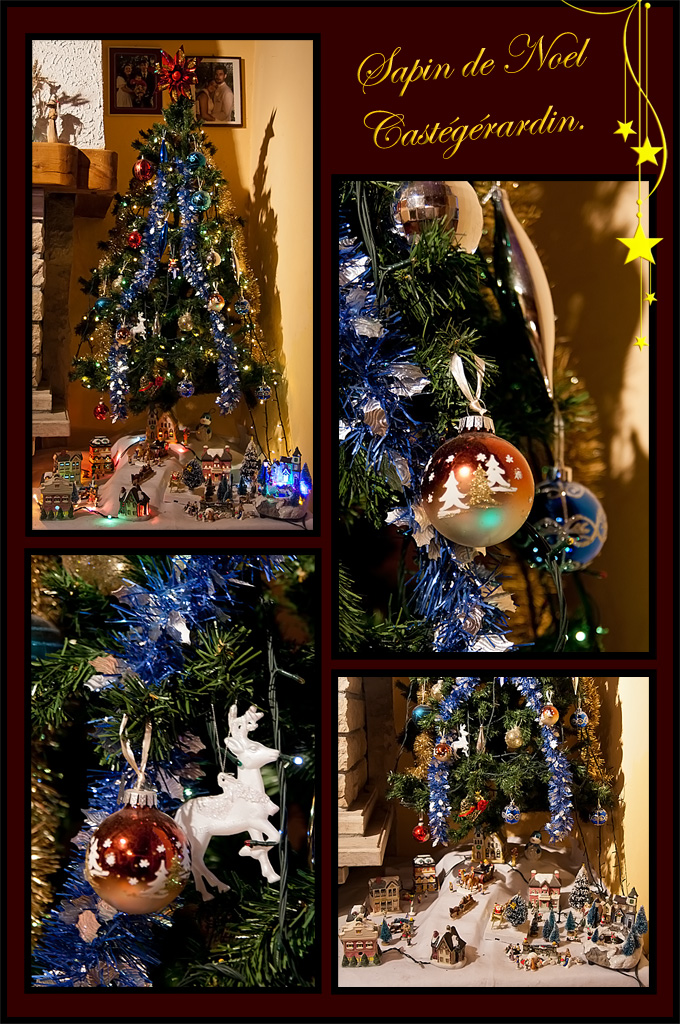 http://fredetsev.eu/imagespourblog/sapin_parents_2011.jpg