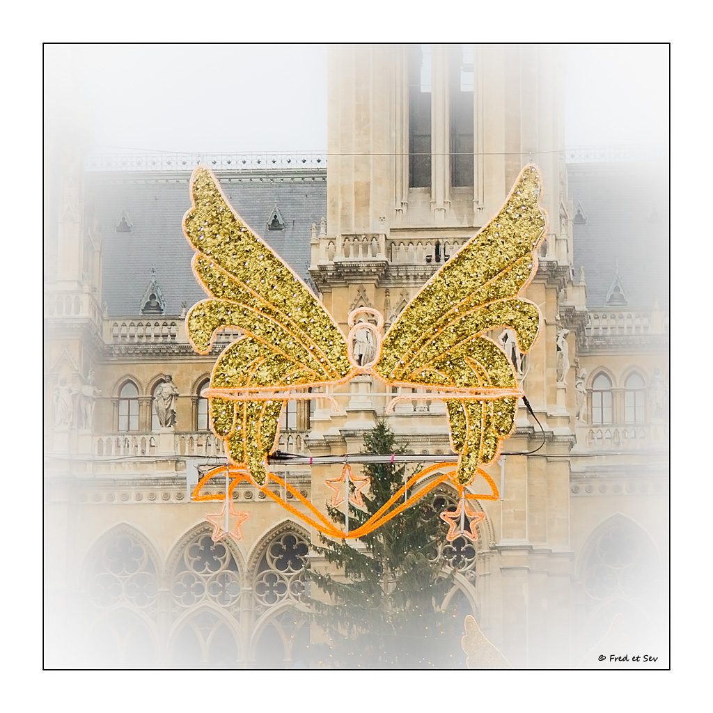 http://fredetsev.eu/imagespourblog/vienne2011_angedeco.jpg
