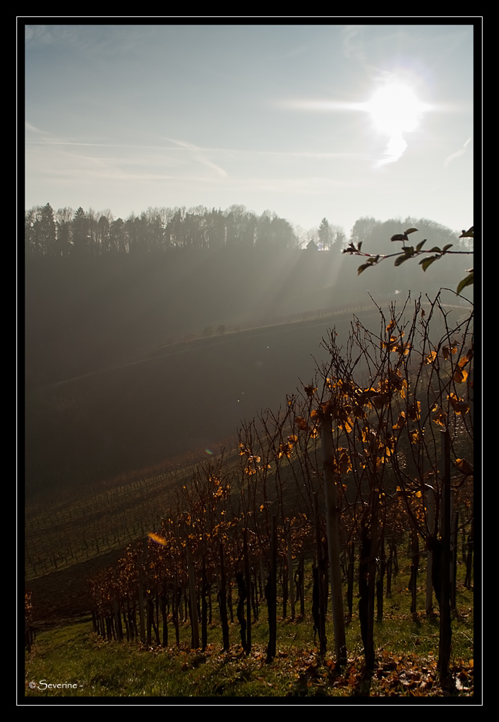 http://fredetsev.eu/imagespourblog/weinstrasse_03.jpg