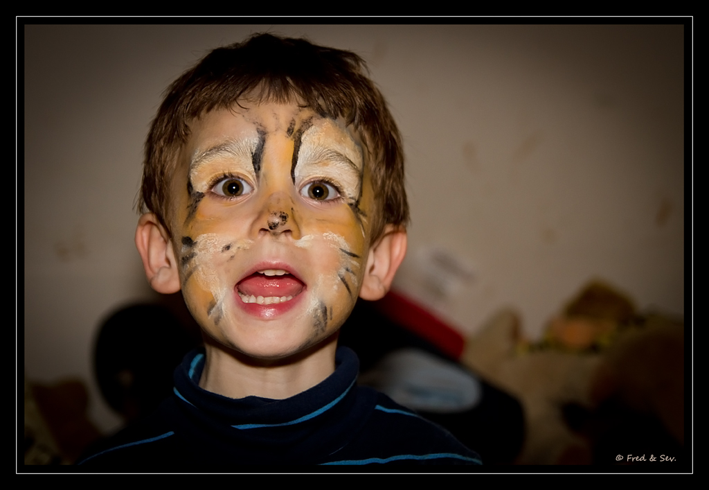 http://fredetsev.eu/photofamille/Arthur_maquillage_tigre_01.jpg