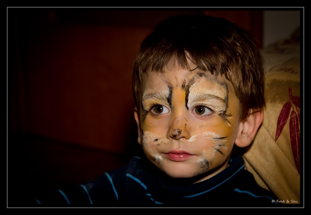 http://fredetsev.eu/photofamille/Arthur_maquillage_tigre_02.jpg