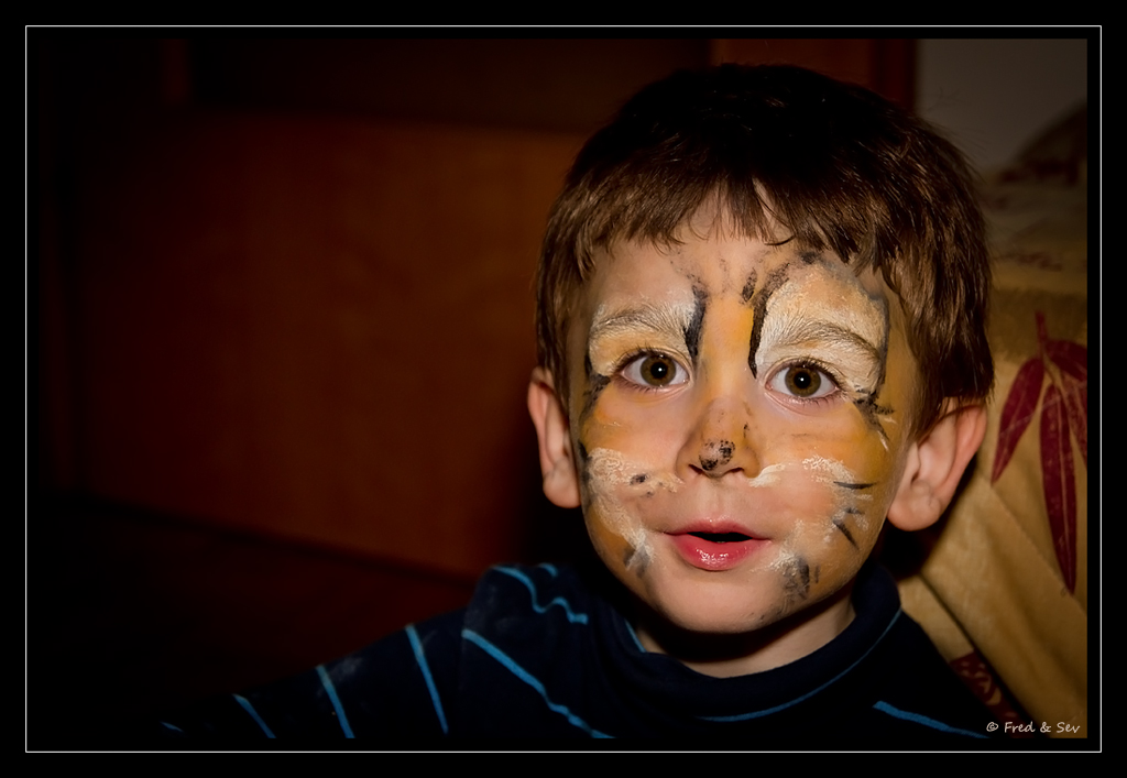 http://fredetsev.eu/photofamille/Arthur_maquillage_tigre_03.jpg